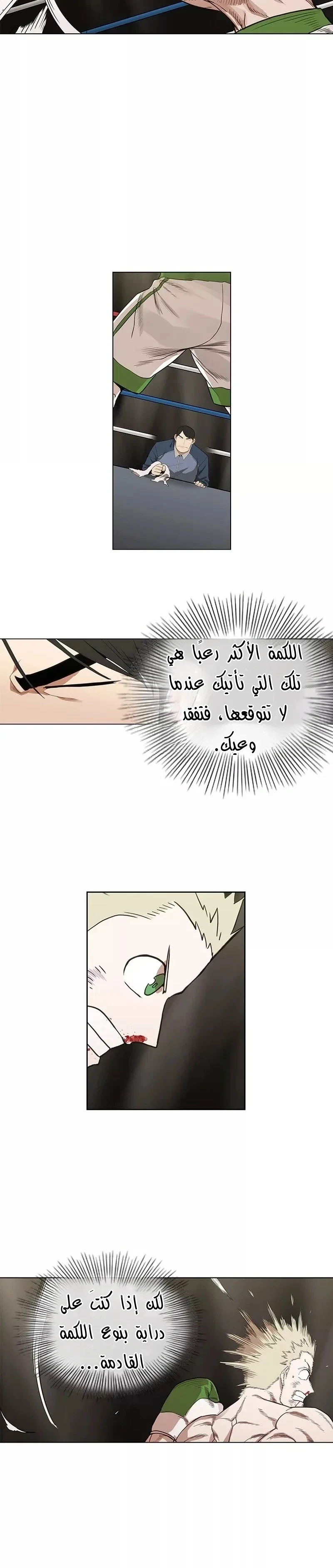 Read The Boxer AR Manga Online