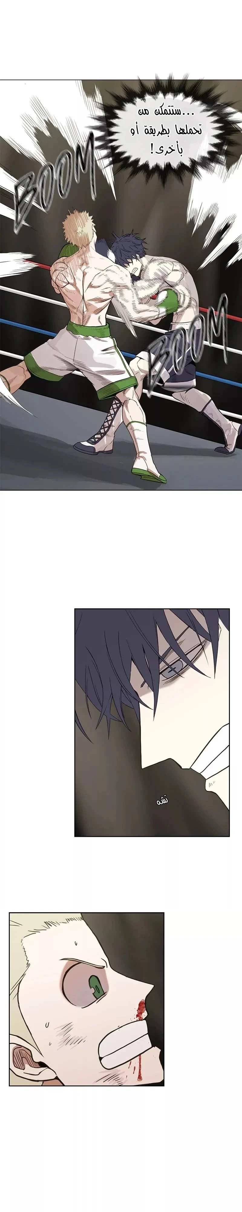 Read The Boxer AR Manga Online