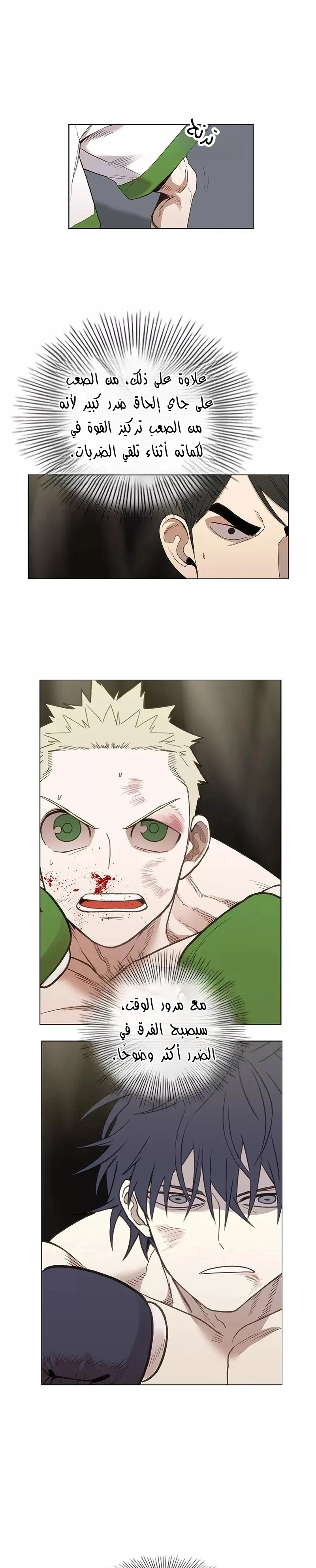 Read The Boxer AR Manga Online