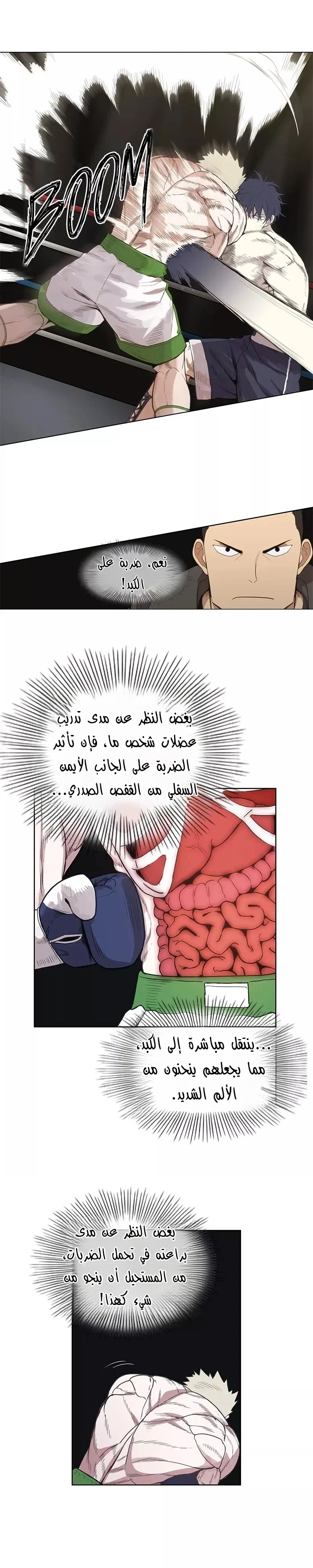 Read The Boxer AR Manga Online