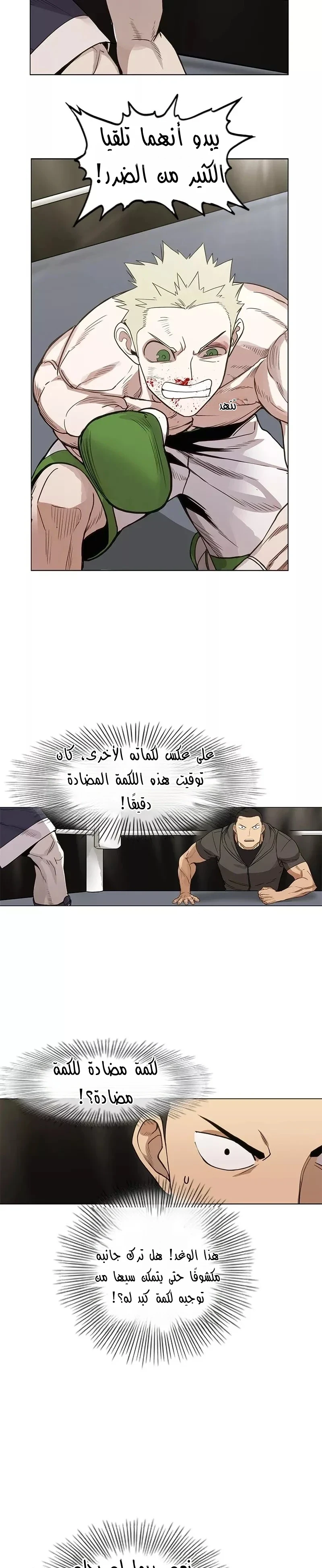 Read The Boxer AR Manga Online