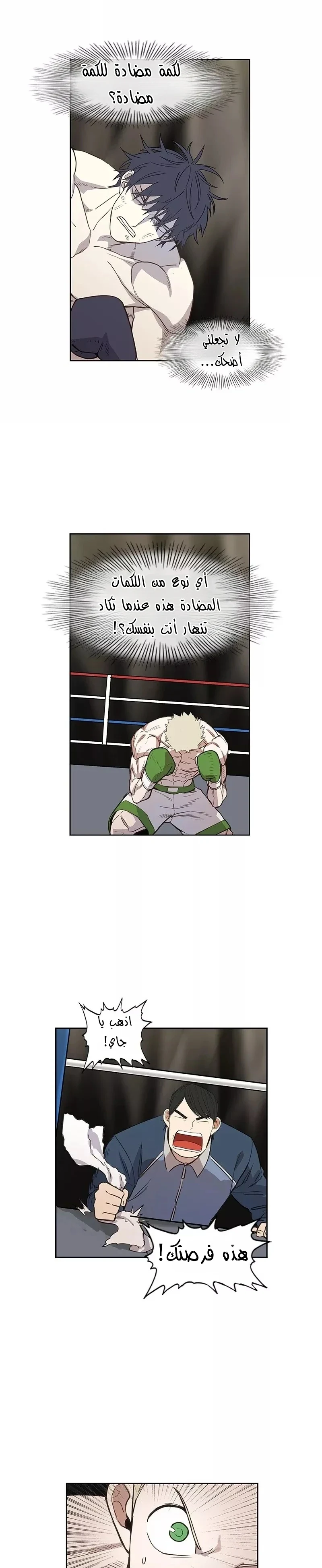 Read The Boxer AR Manga Online