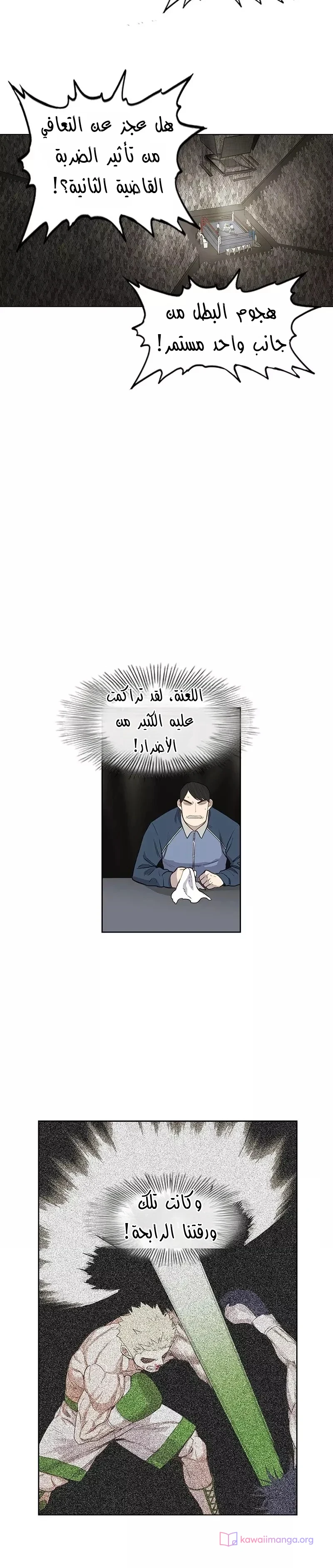 Read The Boxer AR Manga Online