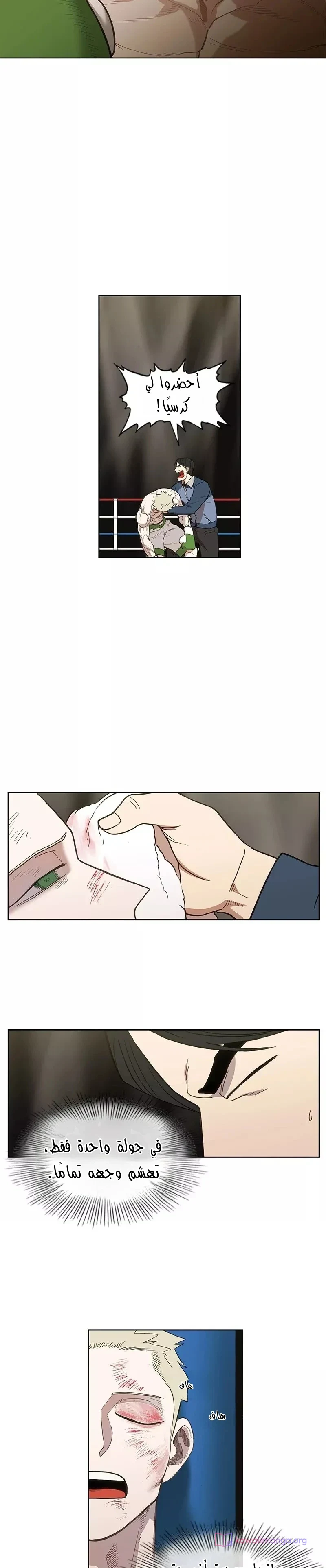 Read The Boxer AR Manga Online