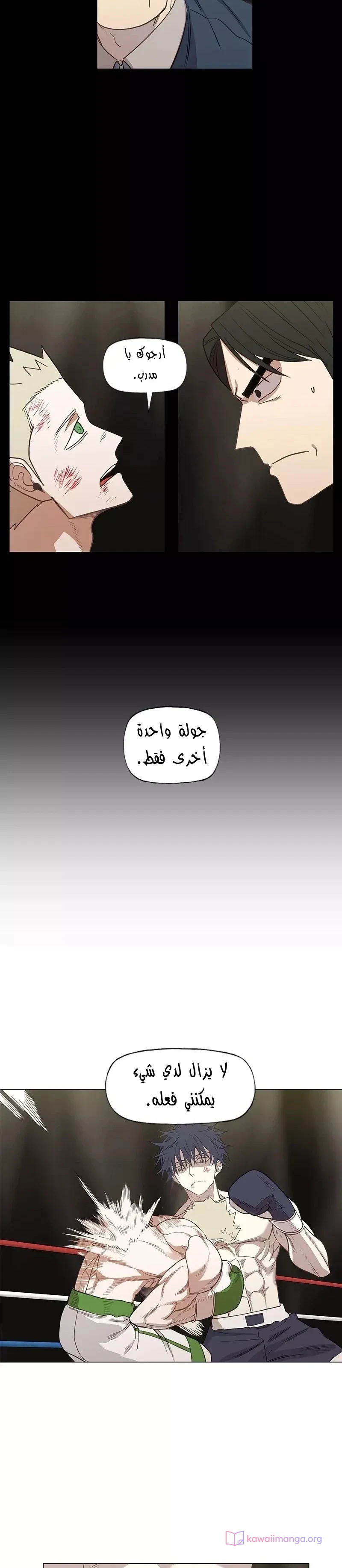 Read The Boxer AR Manga Online