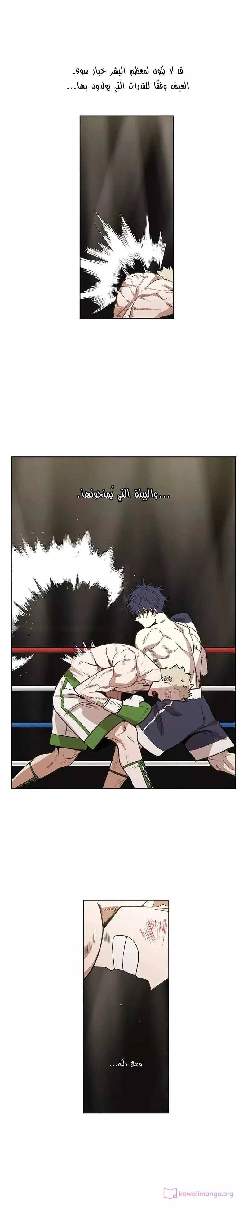 Read The Boxer AR Manga Online