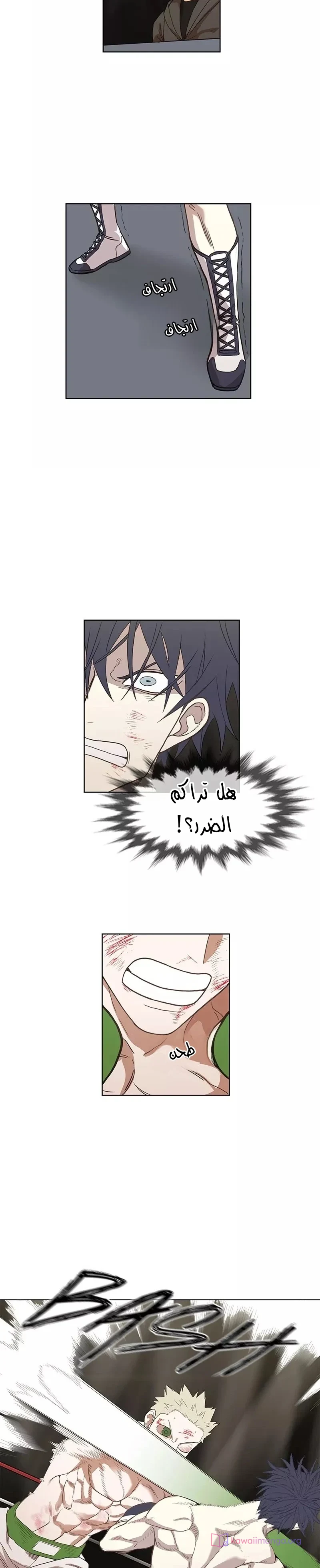 Read The Boxer AR Manga Online