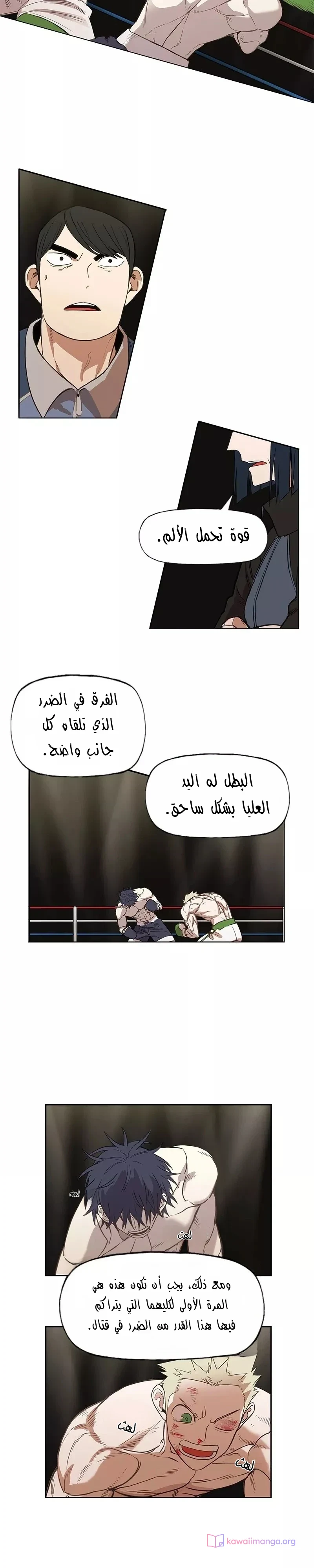 Read The Boxer AR Manga Online