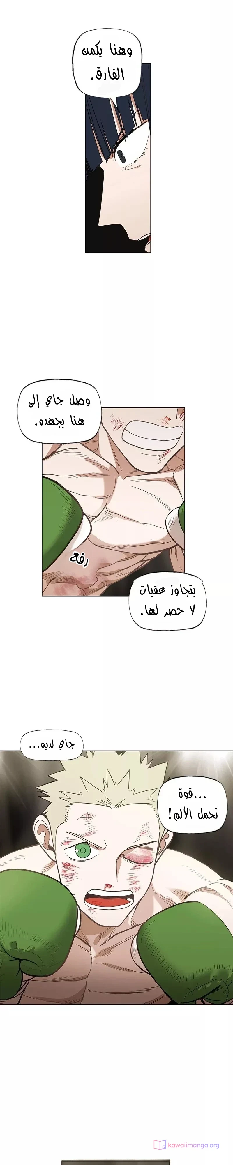 Read The Boxer AR Manga Online
