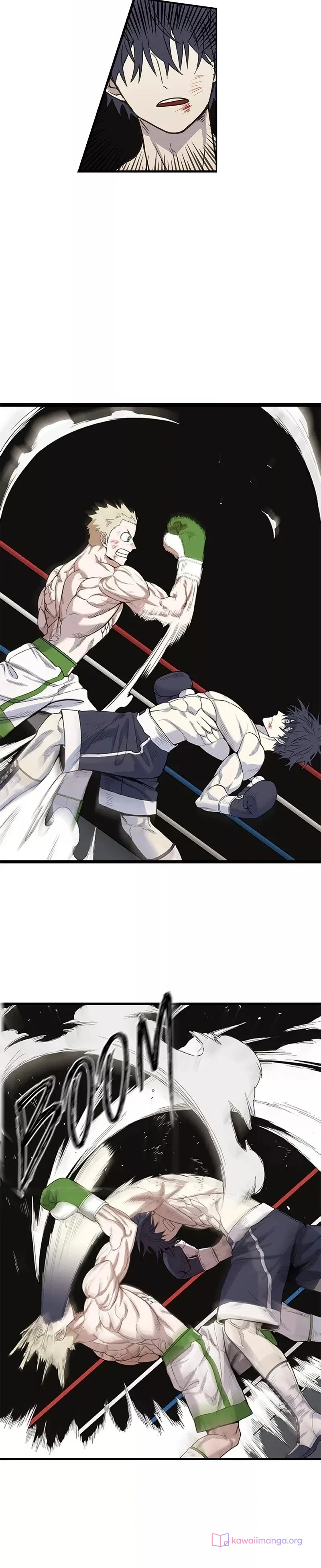 Read The Boxer AR Manga Online