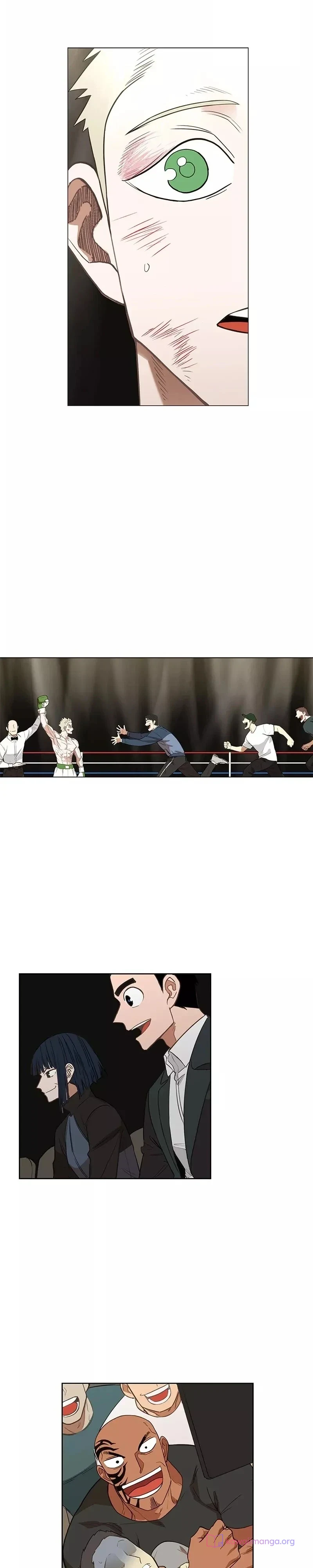 Read The Boxer AR Manga Online