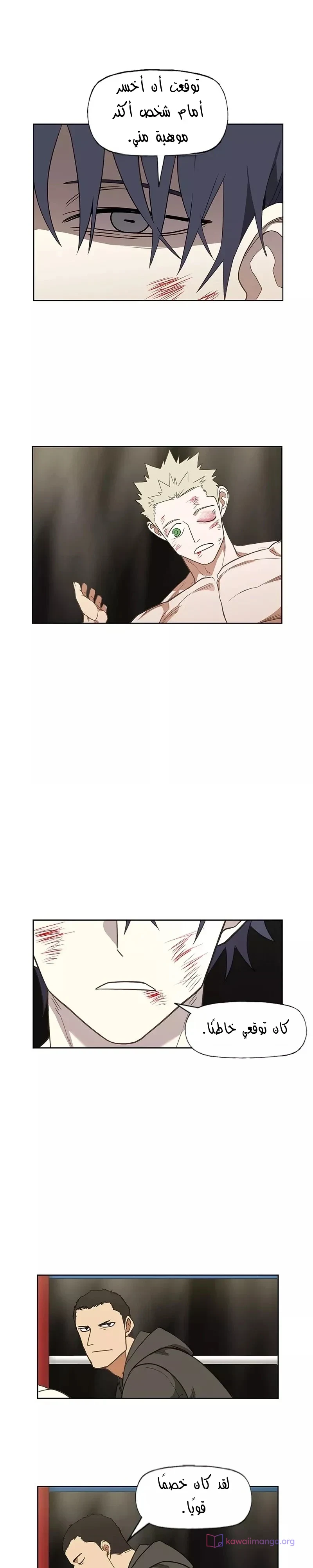 Read The Boxer AR Manga Online
