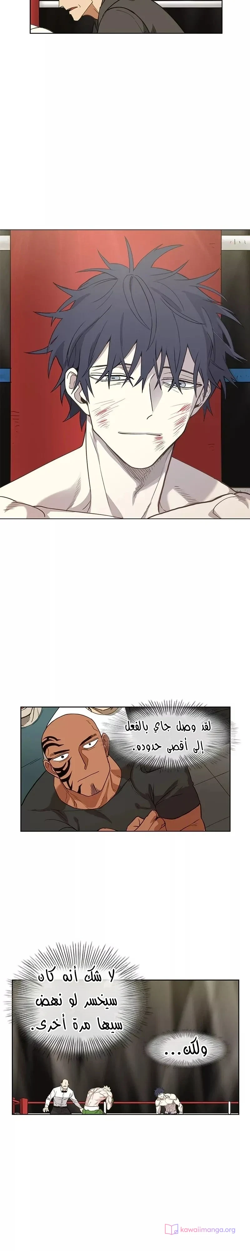 Read The Boxer AR Manga Online