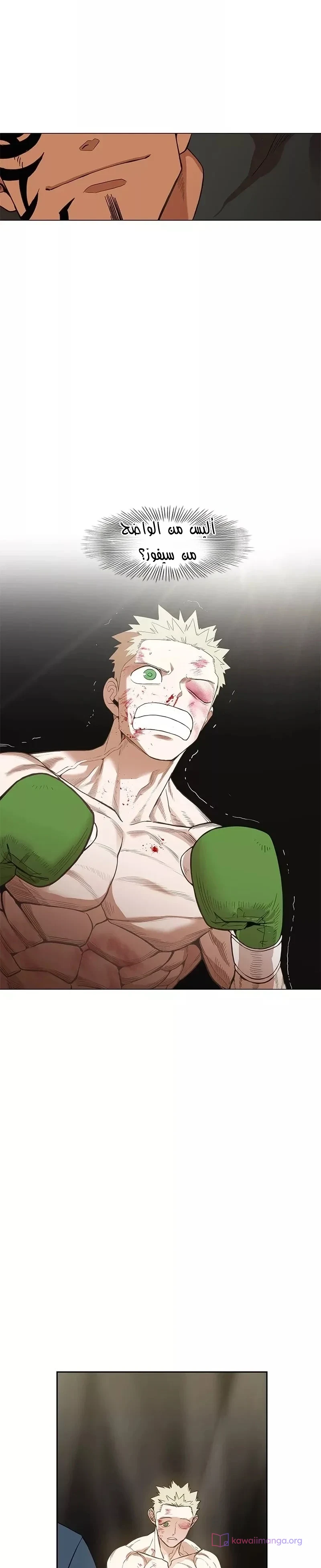 Read The Boxer AR Manga Online
