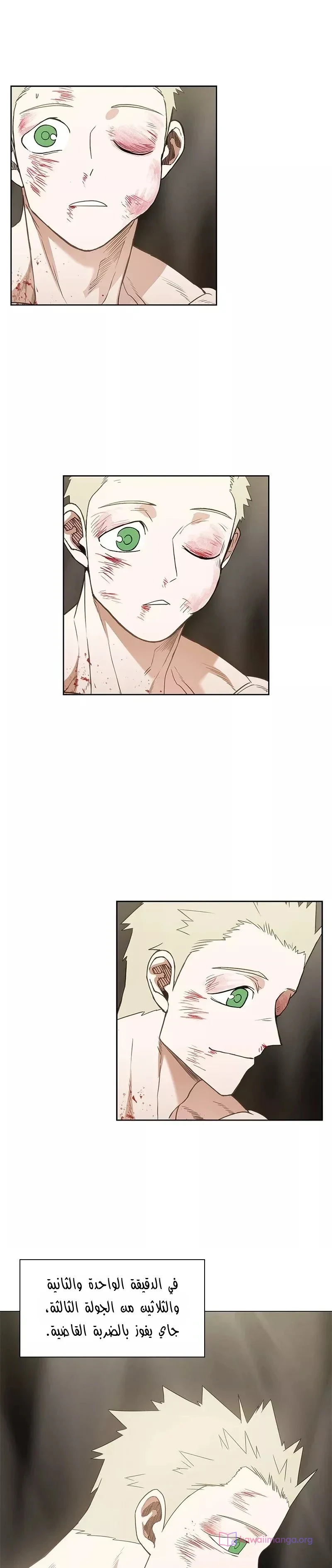 Read The Boxer AR Manga Online