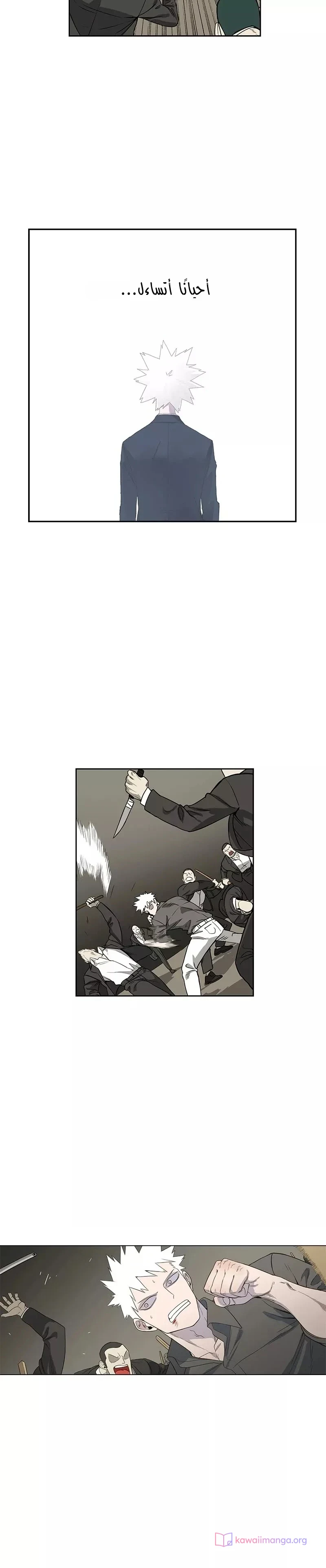 Read The Boxer AR Manga Online