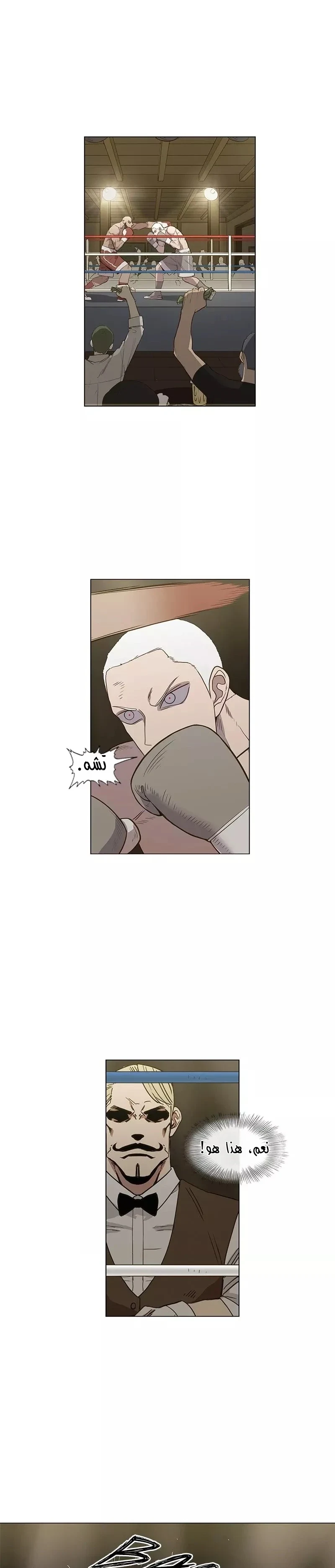 Read The Boxer AR Manga Online