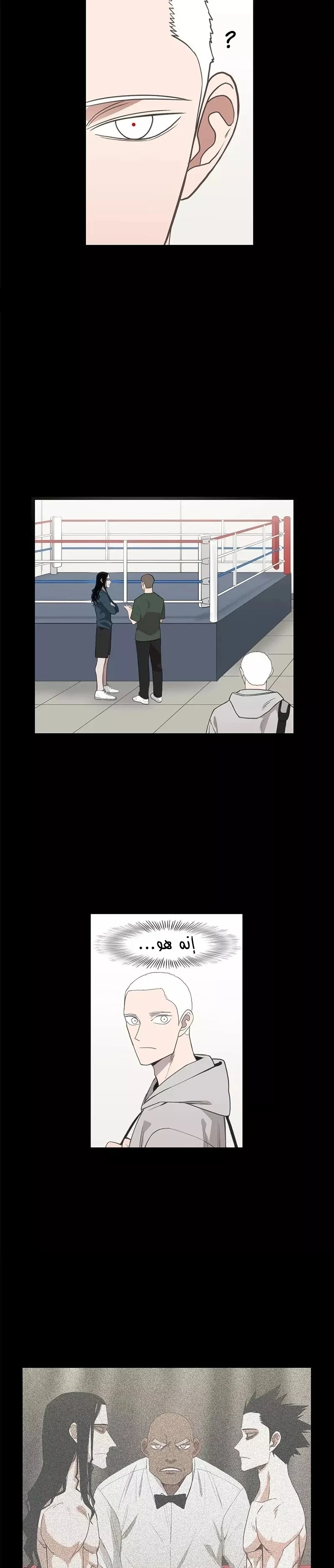 Read The Boxer AR Manga Online