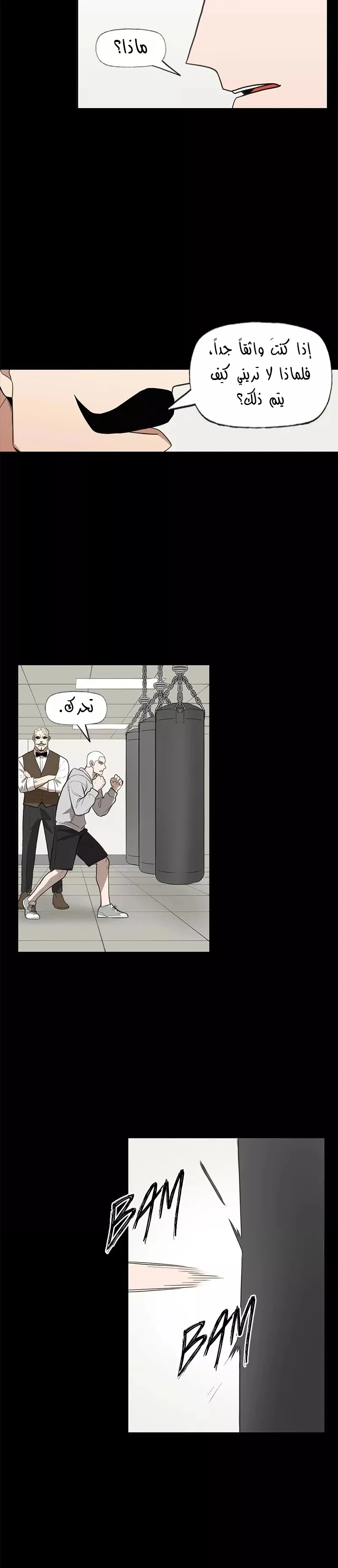 Read The Boxer AR Manga Online