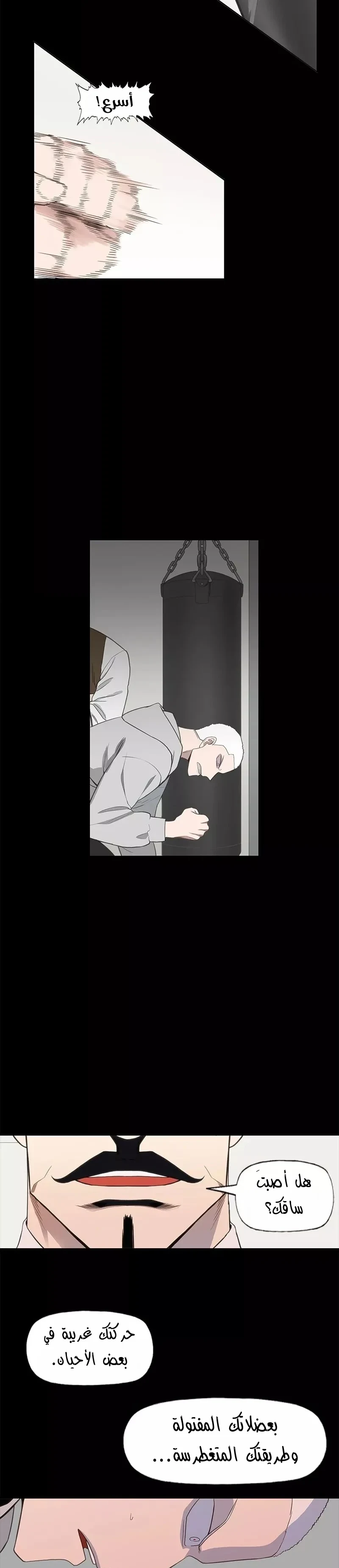 Read The Boxer AR Manga Online