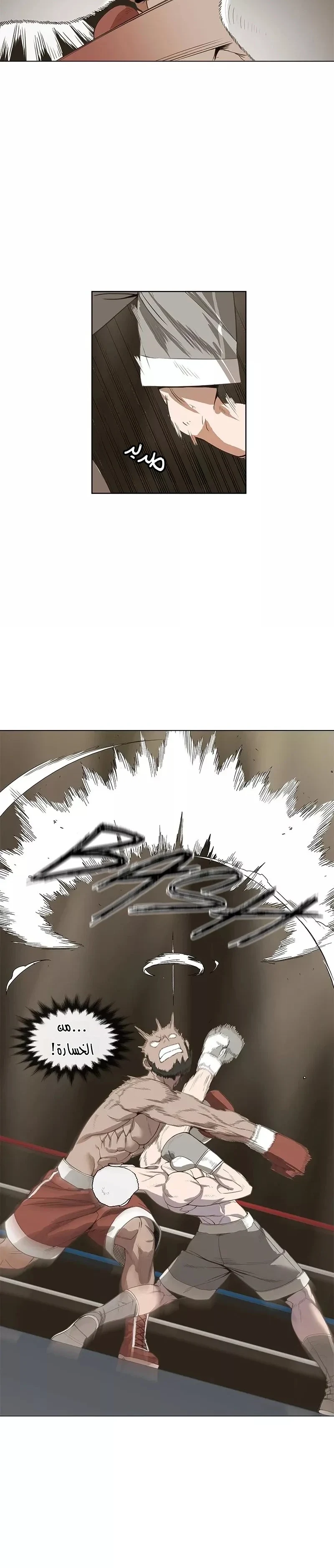 Read The Boxer AR Manga Online