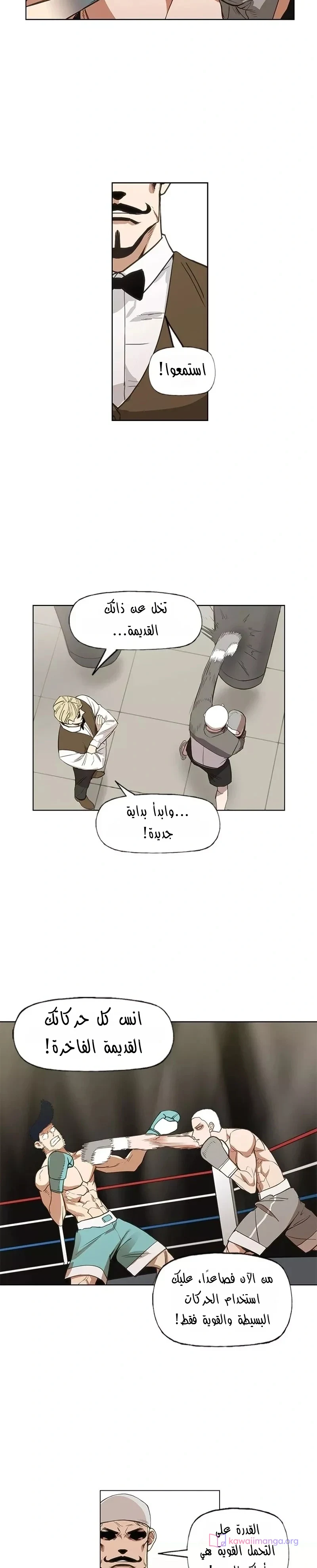 Read The Boxer AR Manga Online
