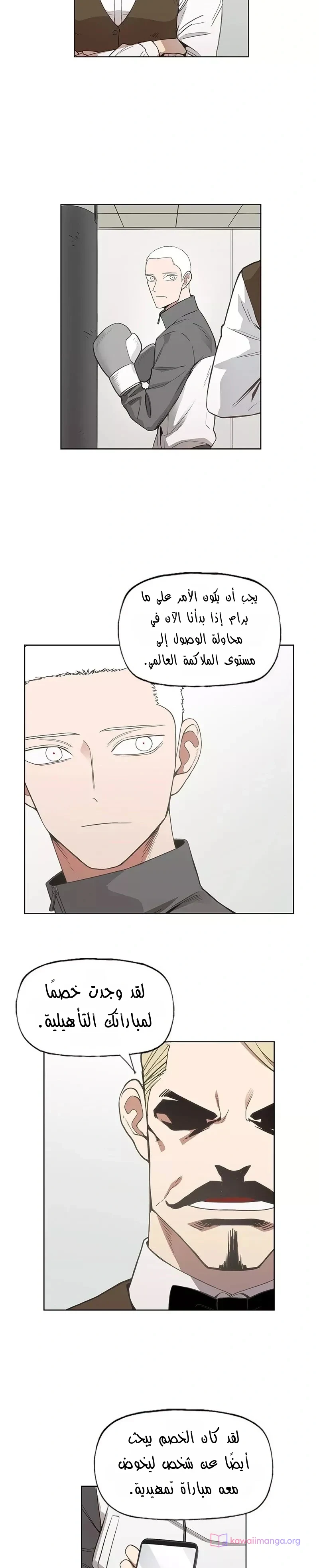 Read The Boxer AR Manga Online