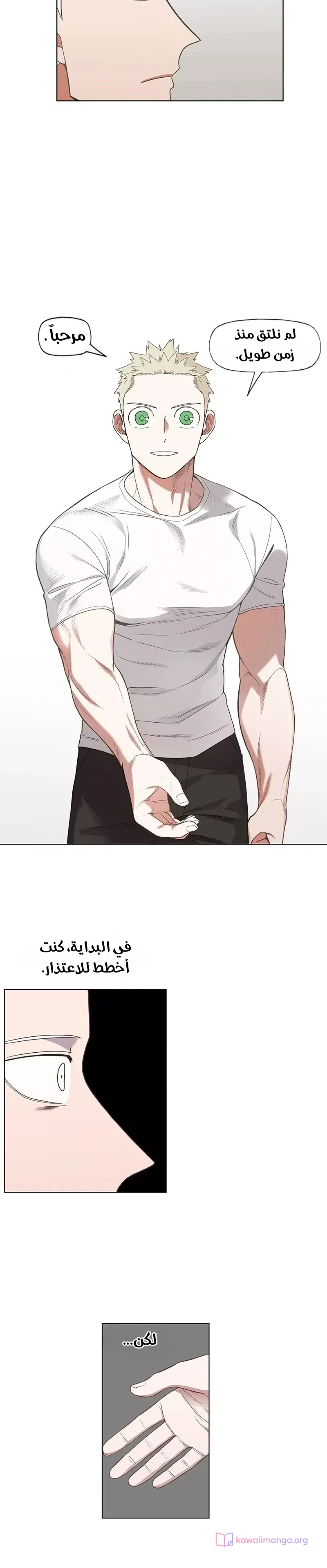 Read The Boxer AR Manga Online
