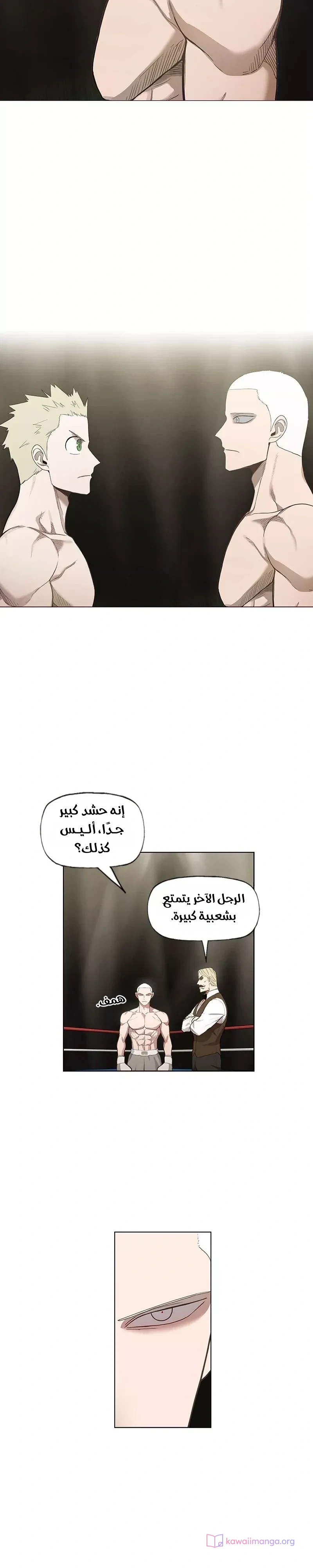Read The Boxer AR Manga Online