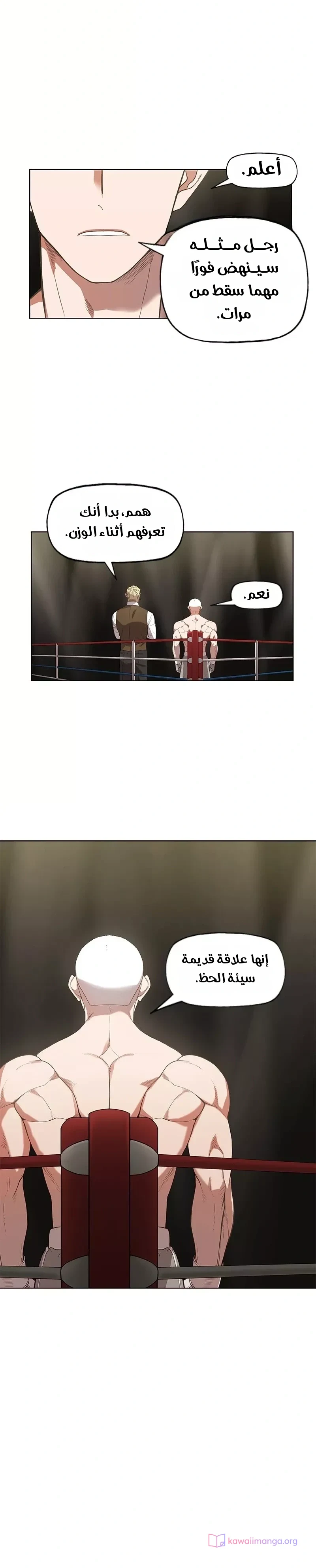 Read The Boxer AR Manga Online