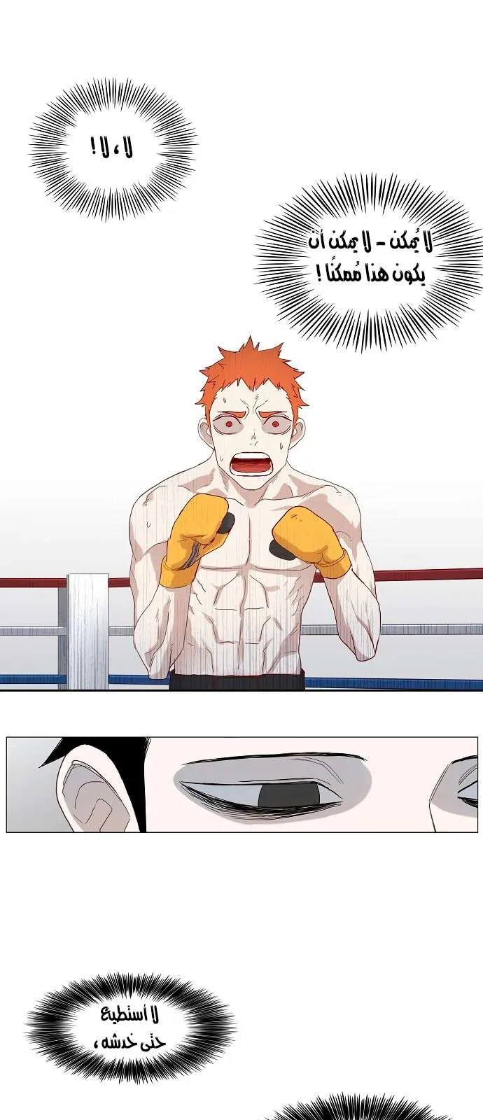Read The Boxer AR Manga Online