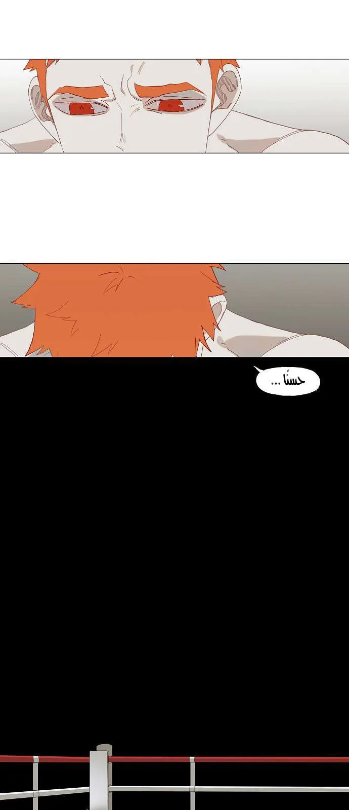 Read The Boxer AR Manga Online