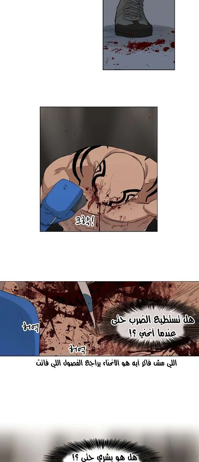 Read The Boxer AR Manga Online