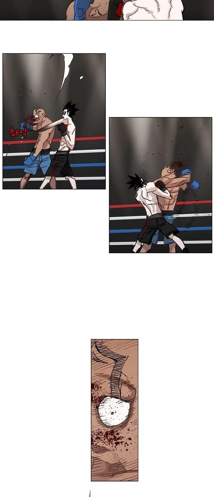 Read The Boxer AR Manga Online
