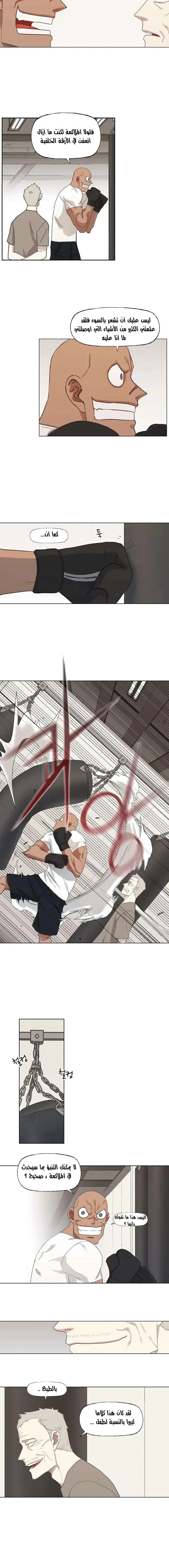 Read The Boxer AR Manga Online