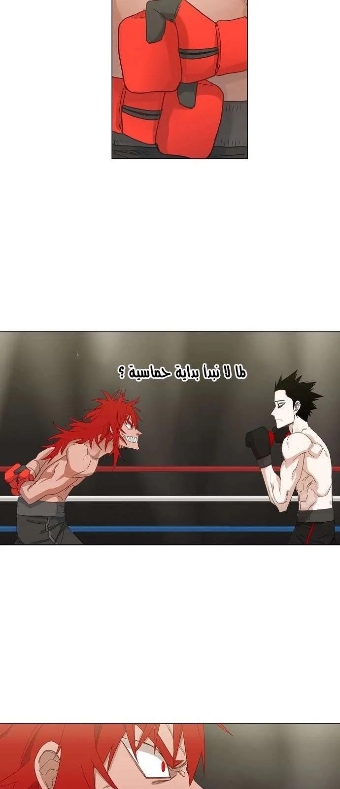 Read The Boxer AR Manga Online