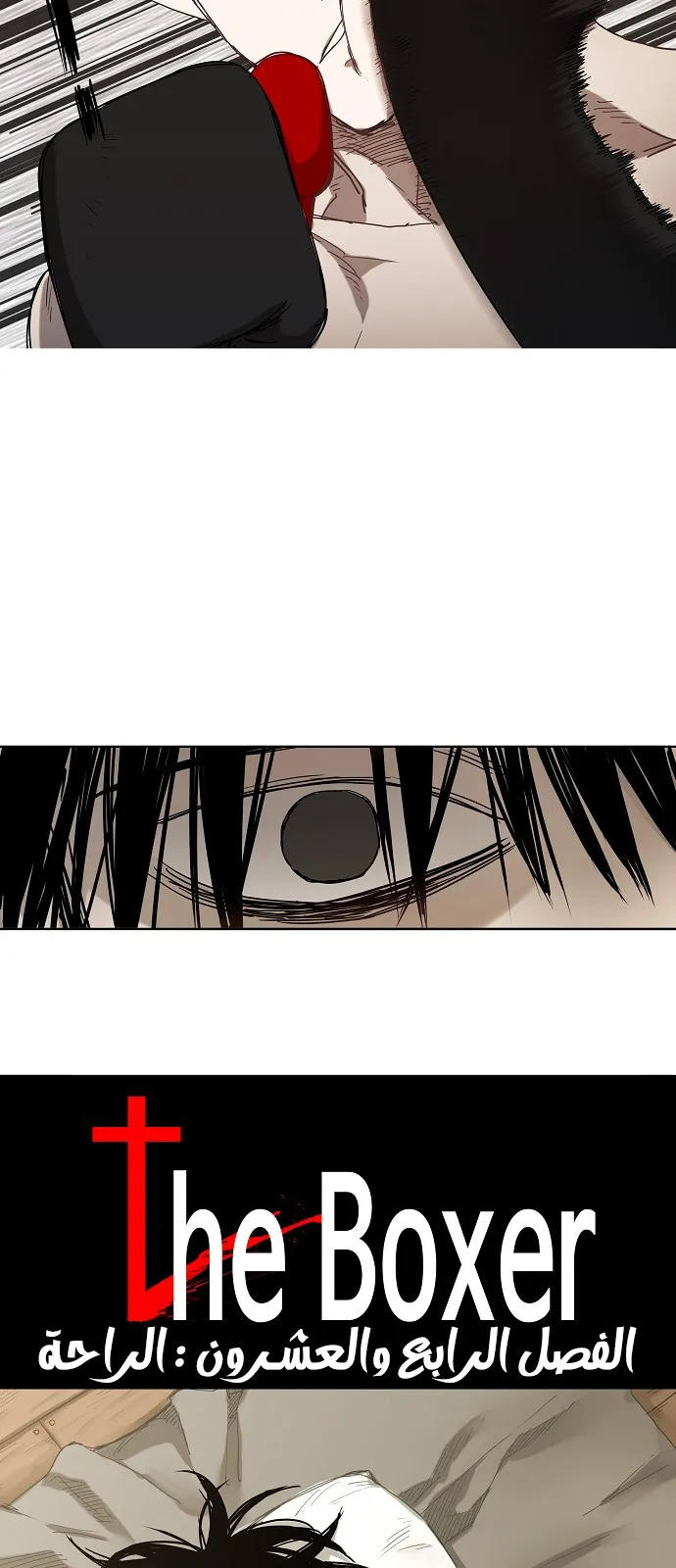 Read The Boxer AR Manga Online