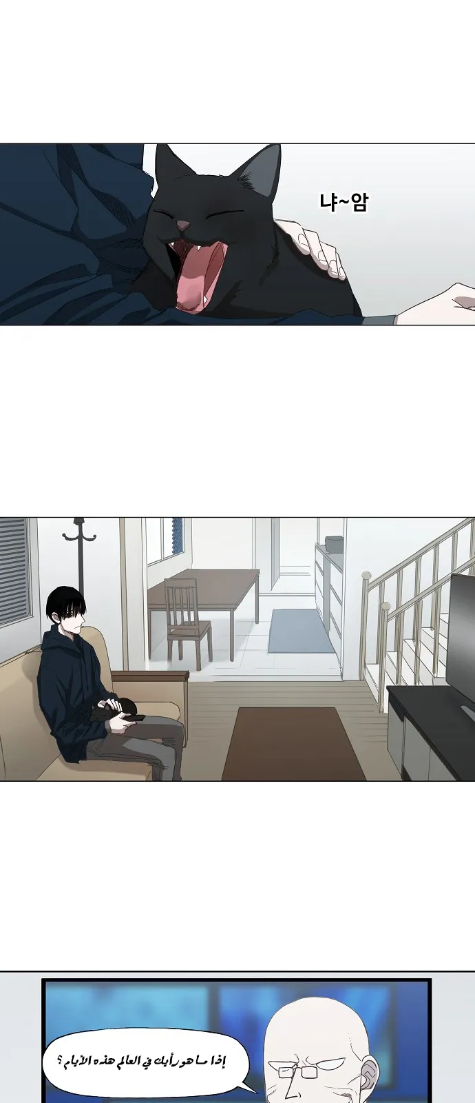 Read The Boxer AR Manga Online
