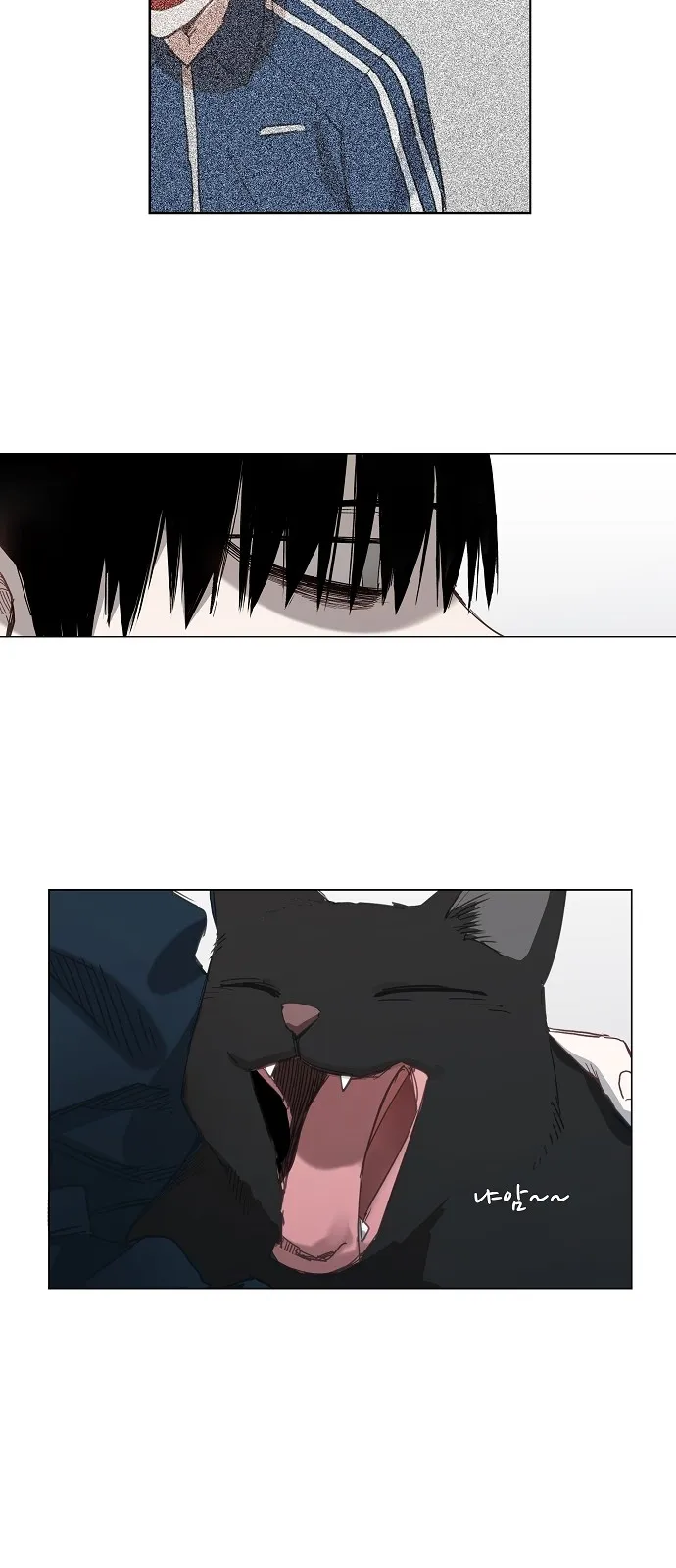 Read The Boxer AR Manga Online