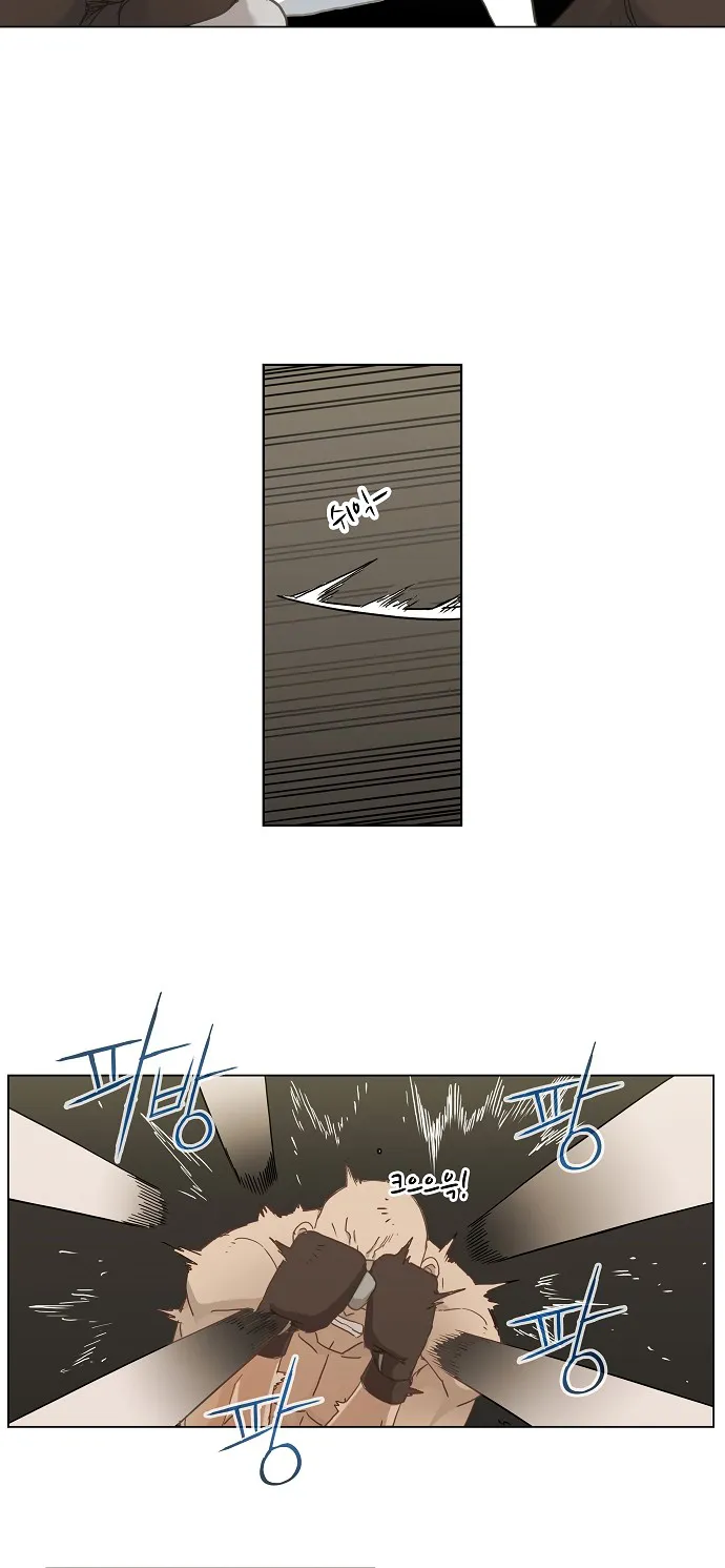 Read The Boxer AR Manga Online