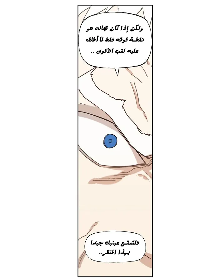 Read The Boxer AR Manga Online