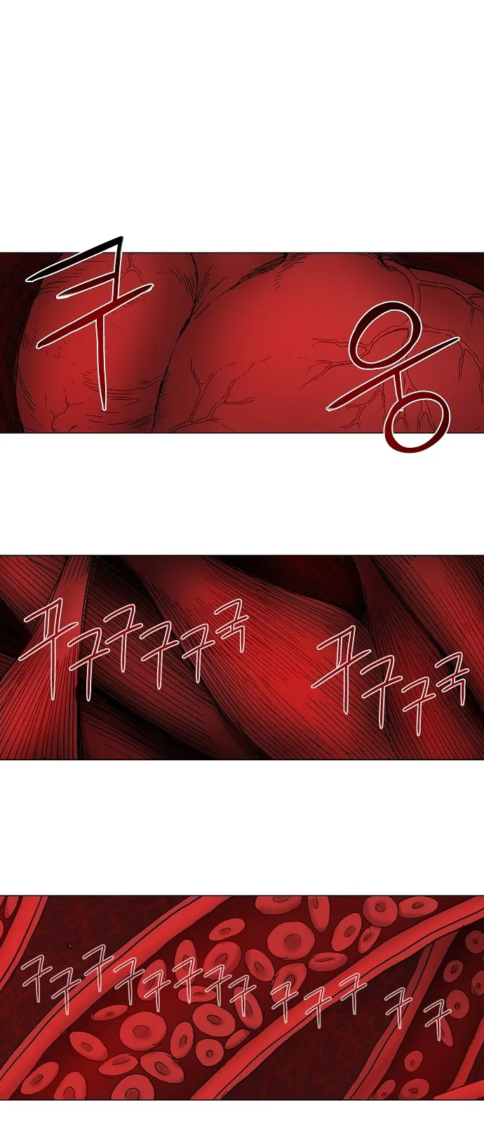 Read The Boxer AR Manga Online