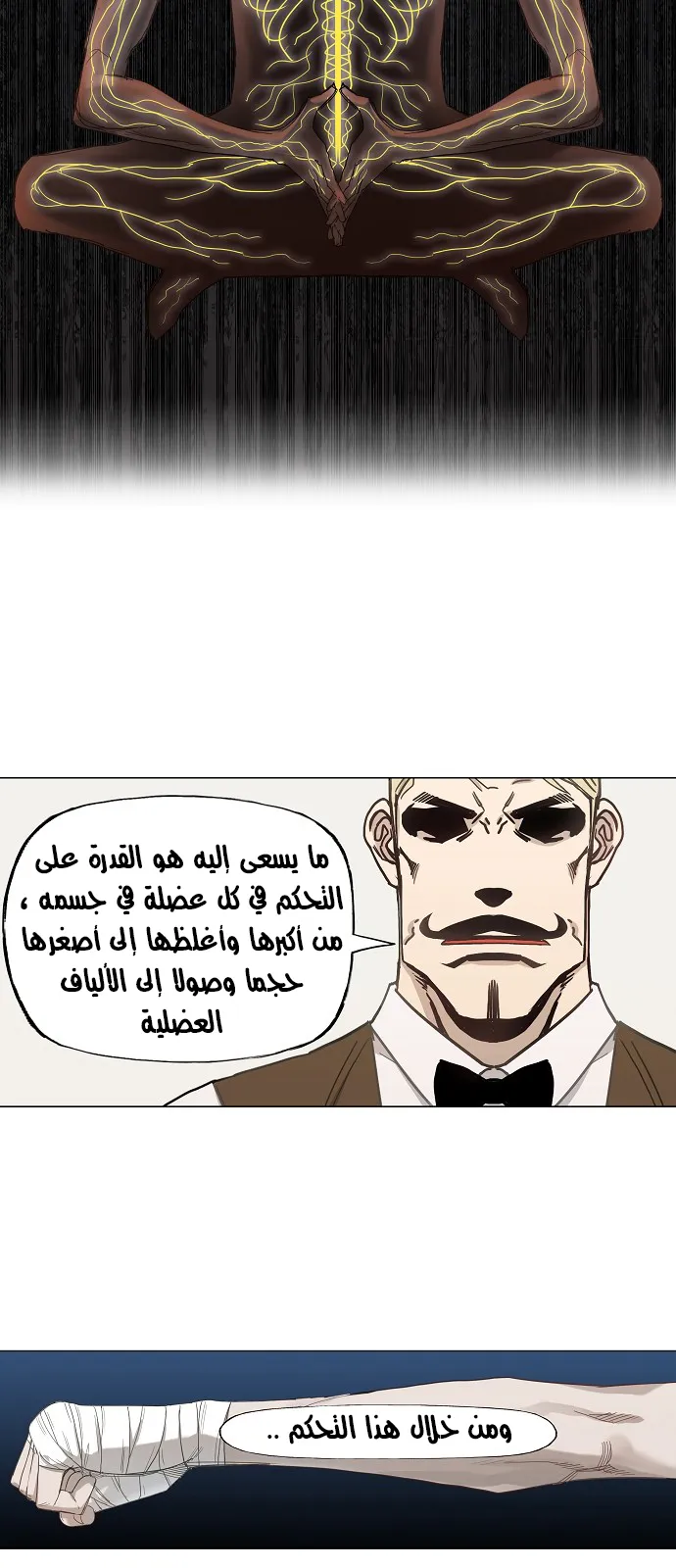 Read The Boxer AR Manga Online