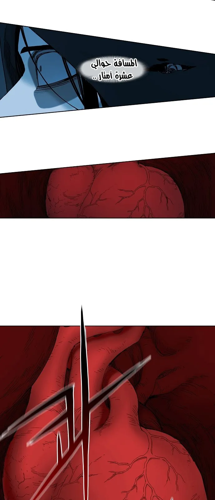 Read The Boxer AR Manga Online