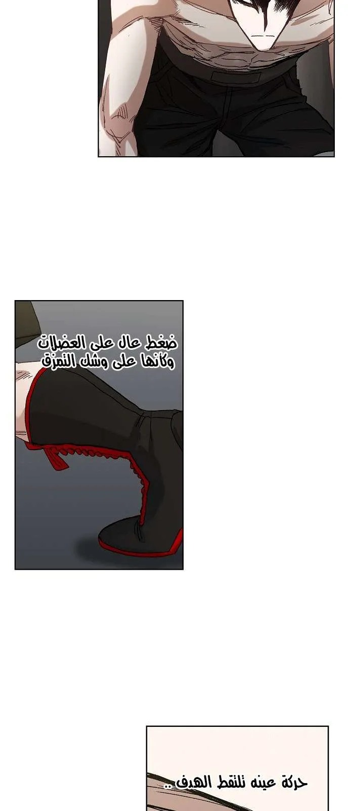Read The Boxer AR Manga Online
