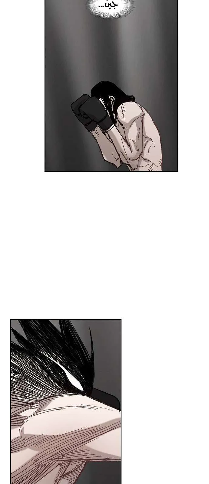 Read The Boxer AR Manga Online