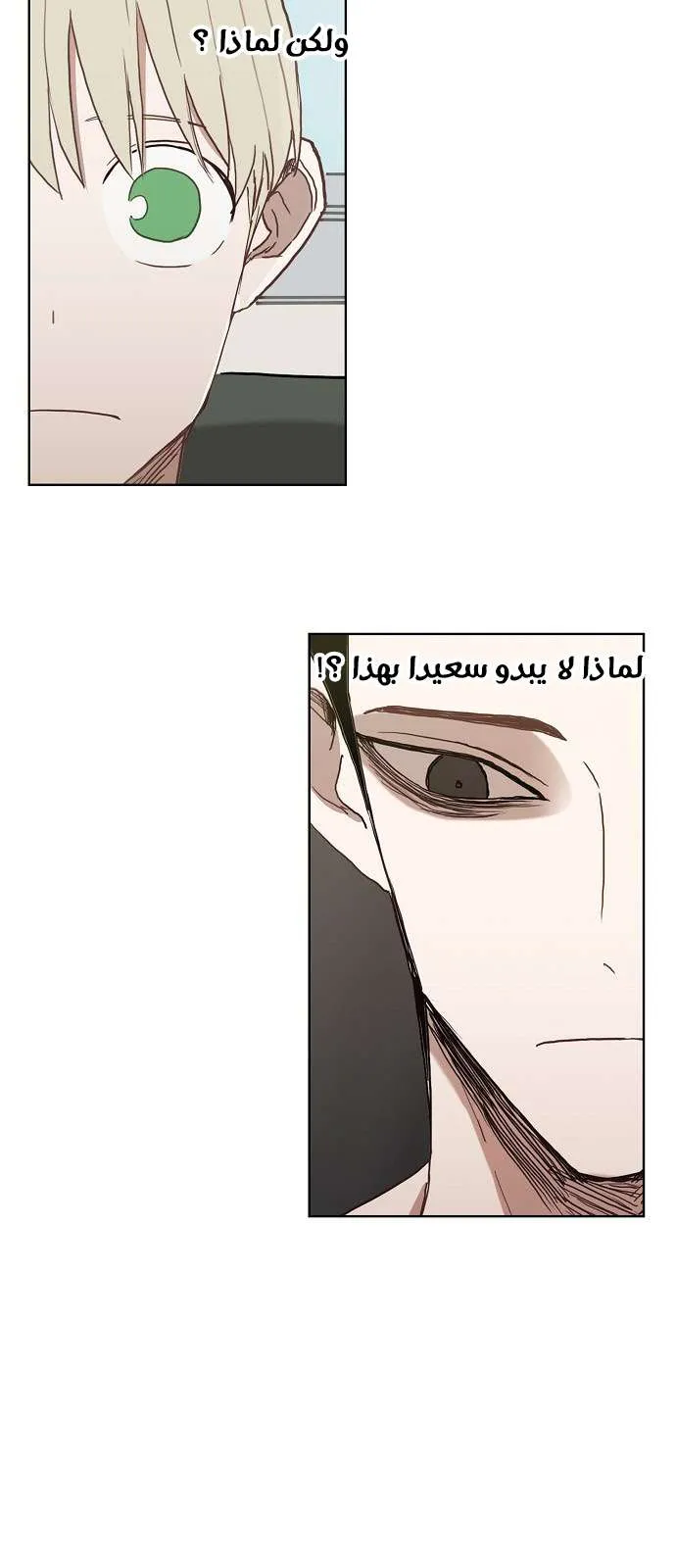 Read The Boxer AR Manga Online