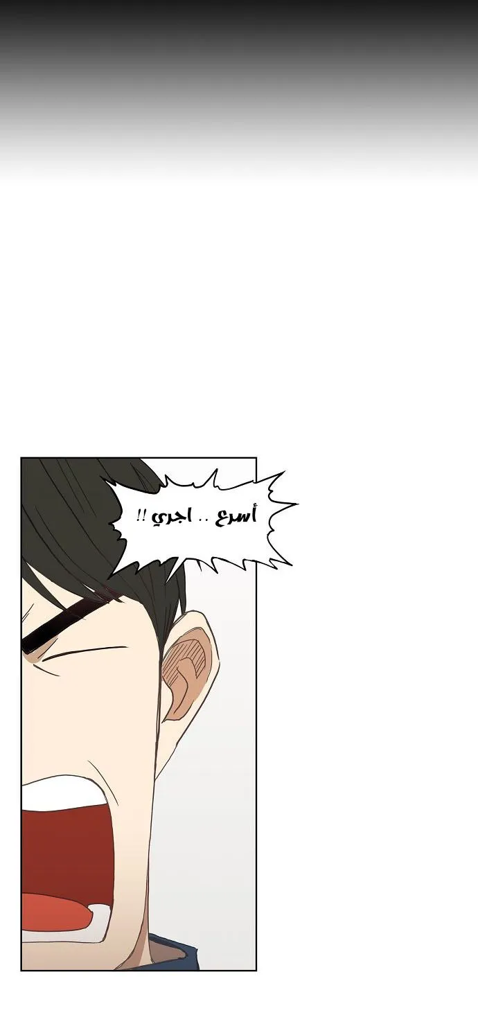 Read The Boxer AR Manga Online