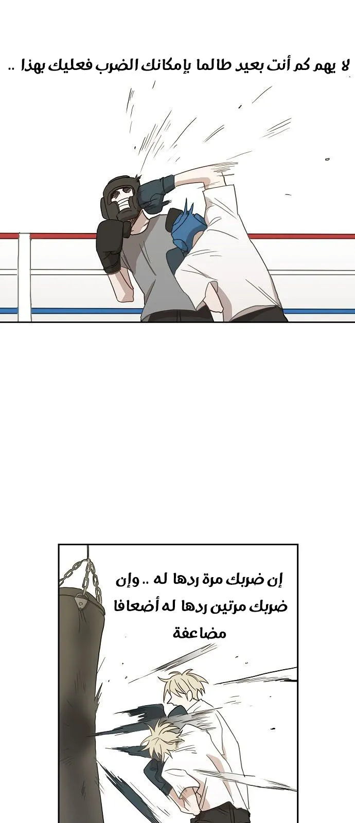 Read The Boxer AR Manga Online