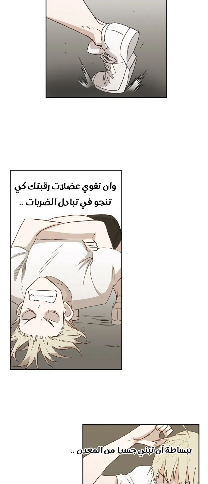 Read The Boxer AR Manga Online